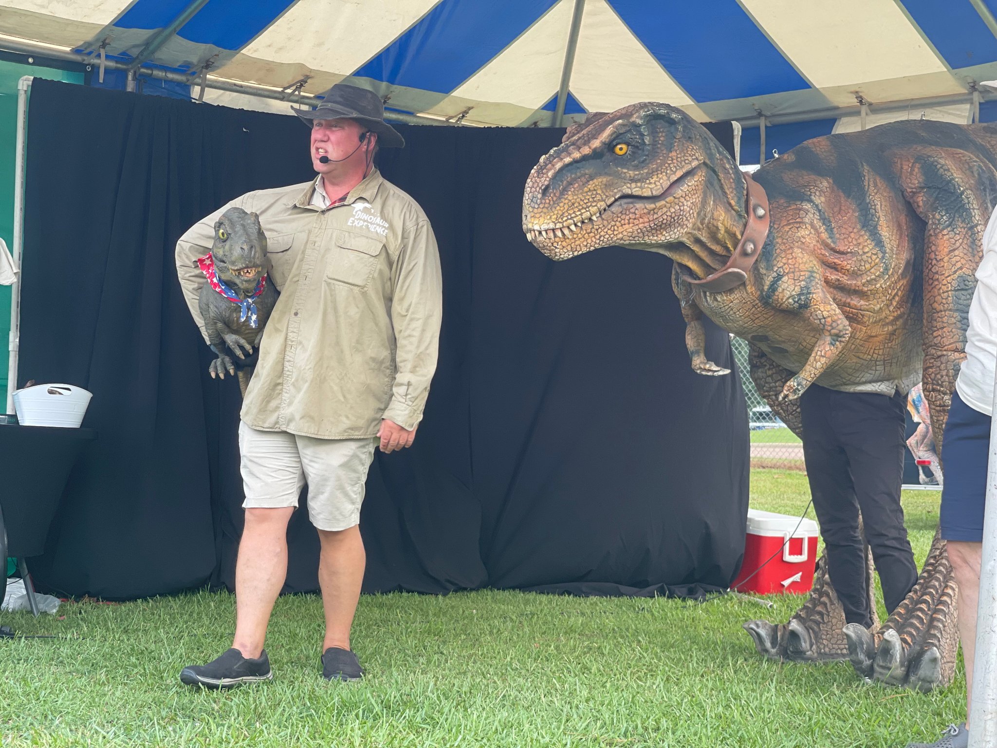 The Dinosaur Experience